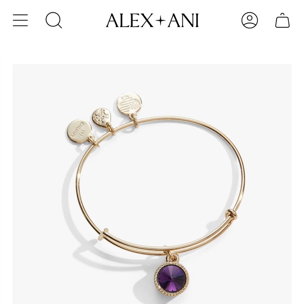 Alex &Ani Gold February Birthstone Charm Bangle Amethyst Bracelet Adjustable